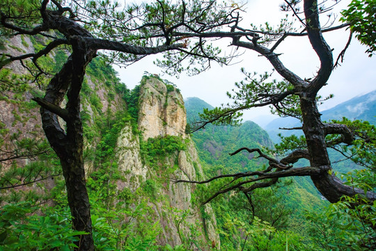 青山绿水