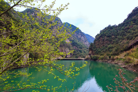 小溪河流