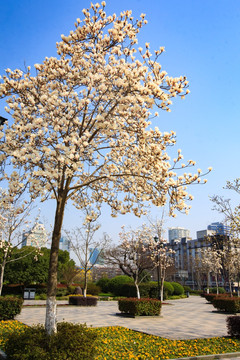 户外景点