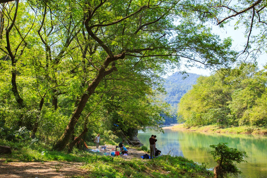 野炊