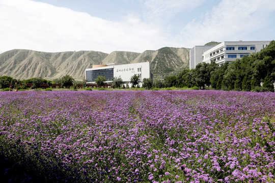 兰州大学榆中校区