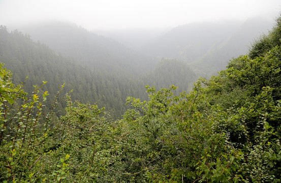 榆中县兴隆山