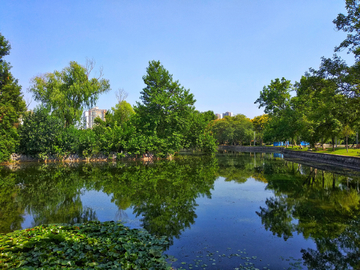 湖畔风景