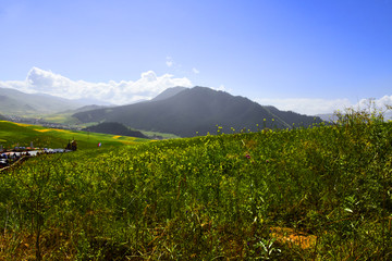 青海祁連卓爾山