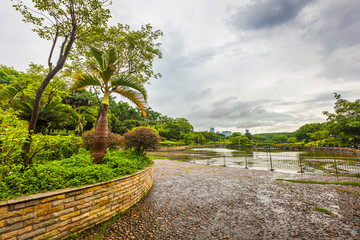 深圳市中山公园湖岸