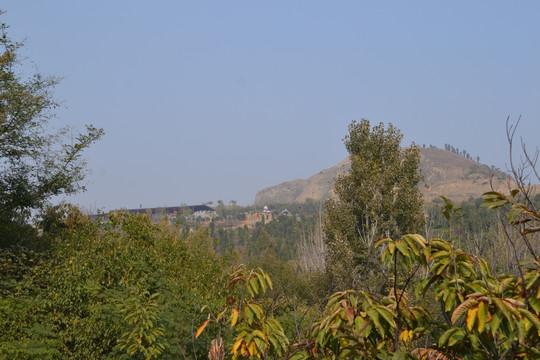 山顶一角风景