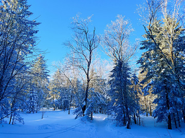 雪景