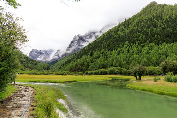 稻城亚丁洛绒牛场雪山草甸河流