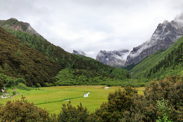 稻城亚丁洛绒牛场雪山草甸河流