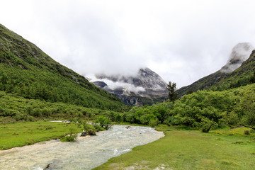 稻城亚丁洛绒牛场雪山草甸河流