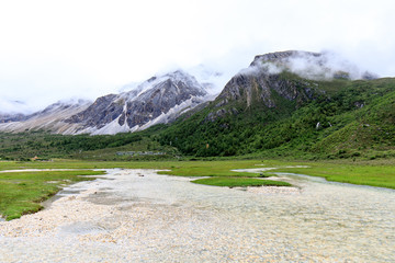 稻城亚丁洛绒牛场雪山草甸河流