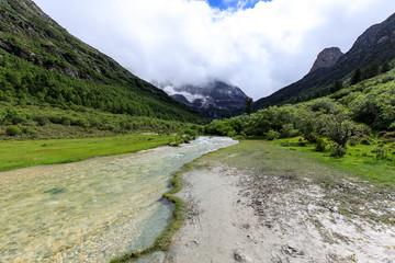 稻城亚丁洛绒牛场雪山草甸河流