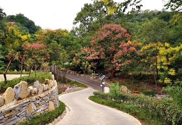 龙凤村拈花谷