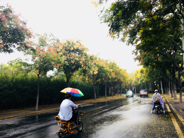 秋雨