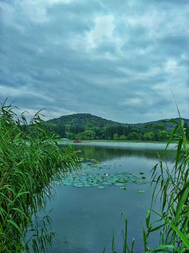 无锡太湖鼋渚山风景