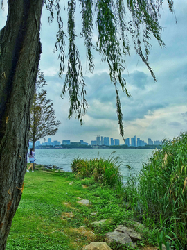 无锡蠡湖风景