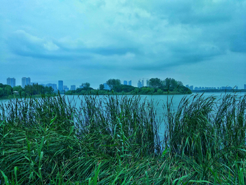 无锡渤公岛 生态湿地公园风景