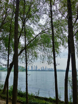 无锡蠡湖风景