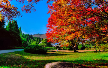 庐山植物院