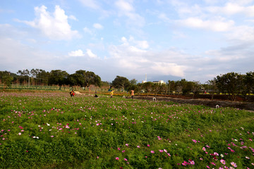 美丽乡村