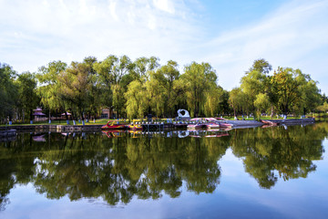 绿树湖水