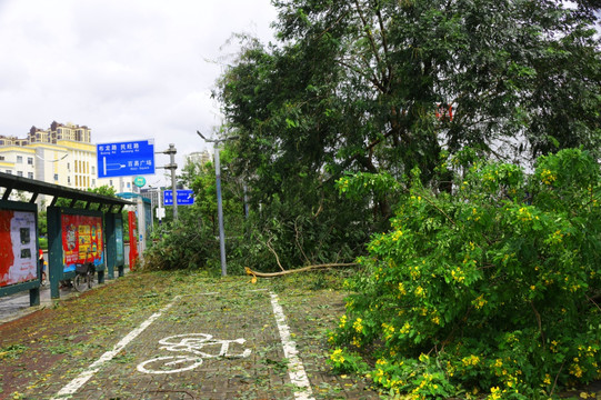 台风留痕