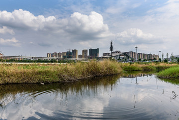 蓝天白云城市背景湿地公园