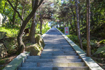 沂蒙山旅游区龟蒙景区