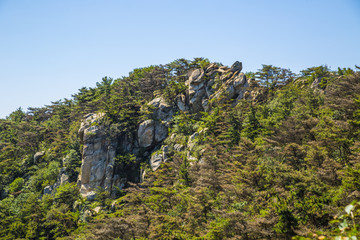 蒙山风光