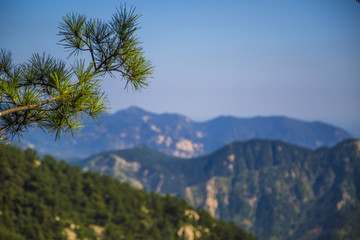 蒙山风光