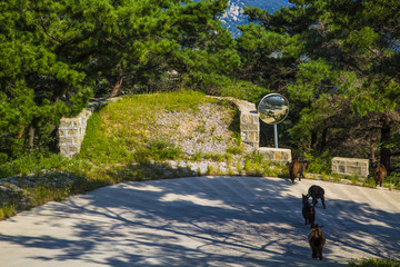 蒙山风光