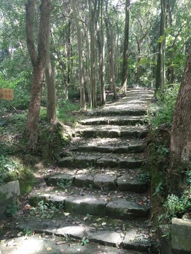 山间小道