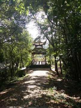 跃龙山风光