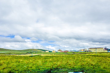 草原