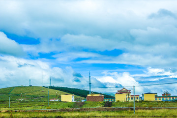 草原