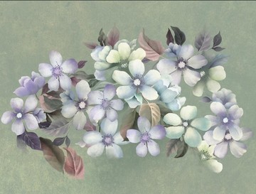 繡球花