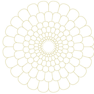 花瓣