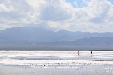 茶卡盐湖