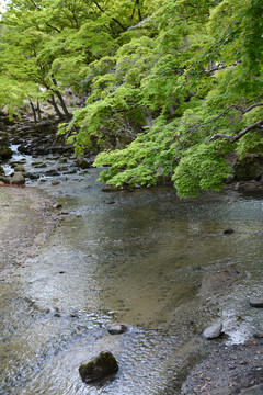 山间溪流