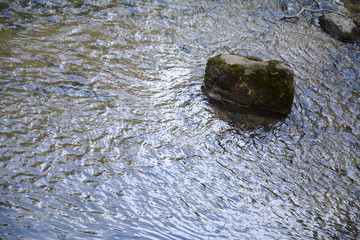 池塘石头