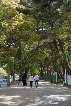 公园道路