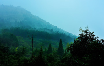 雨中山景