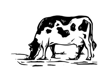 奶牛插畫