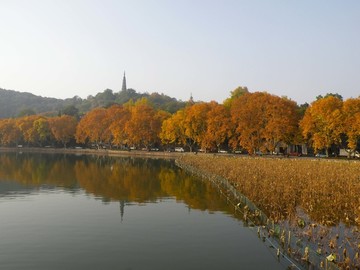 西湖秋景