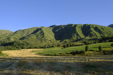 田野