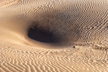 沙漠沙窝