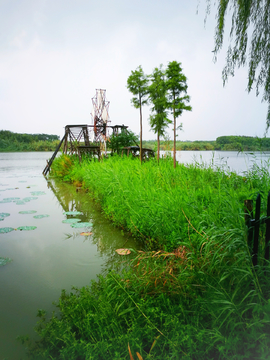 沙家浜