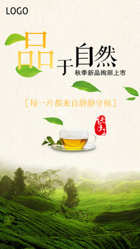 茶海報(bào)