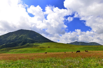 山丹军马场