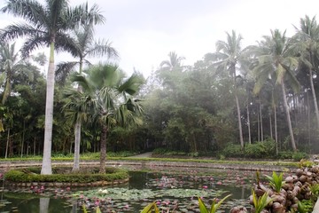 兴隆热带植物园